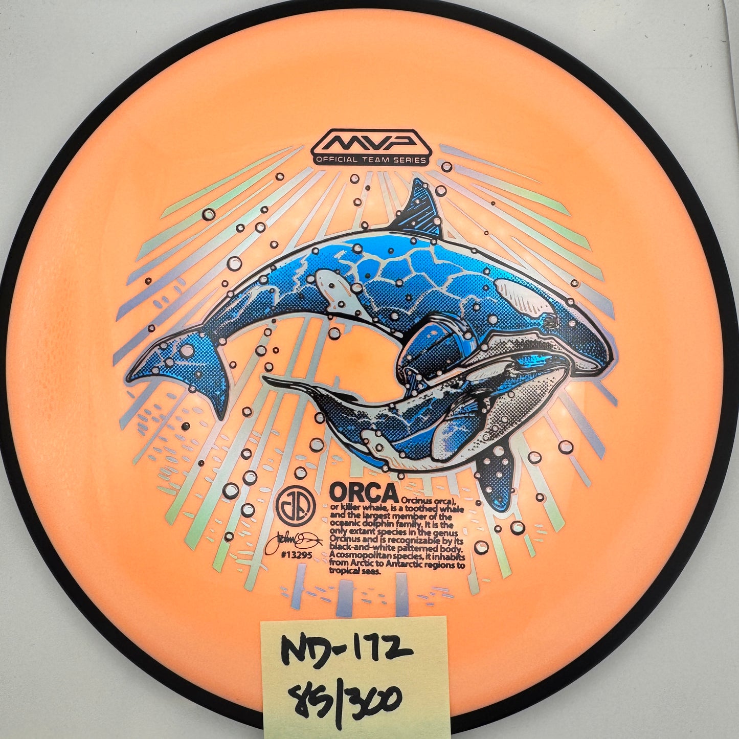 2025 ORCAs MVP Official Team Series Detour