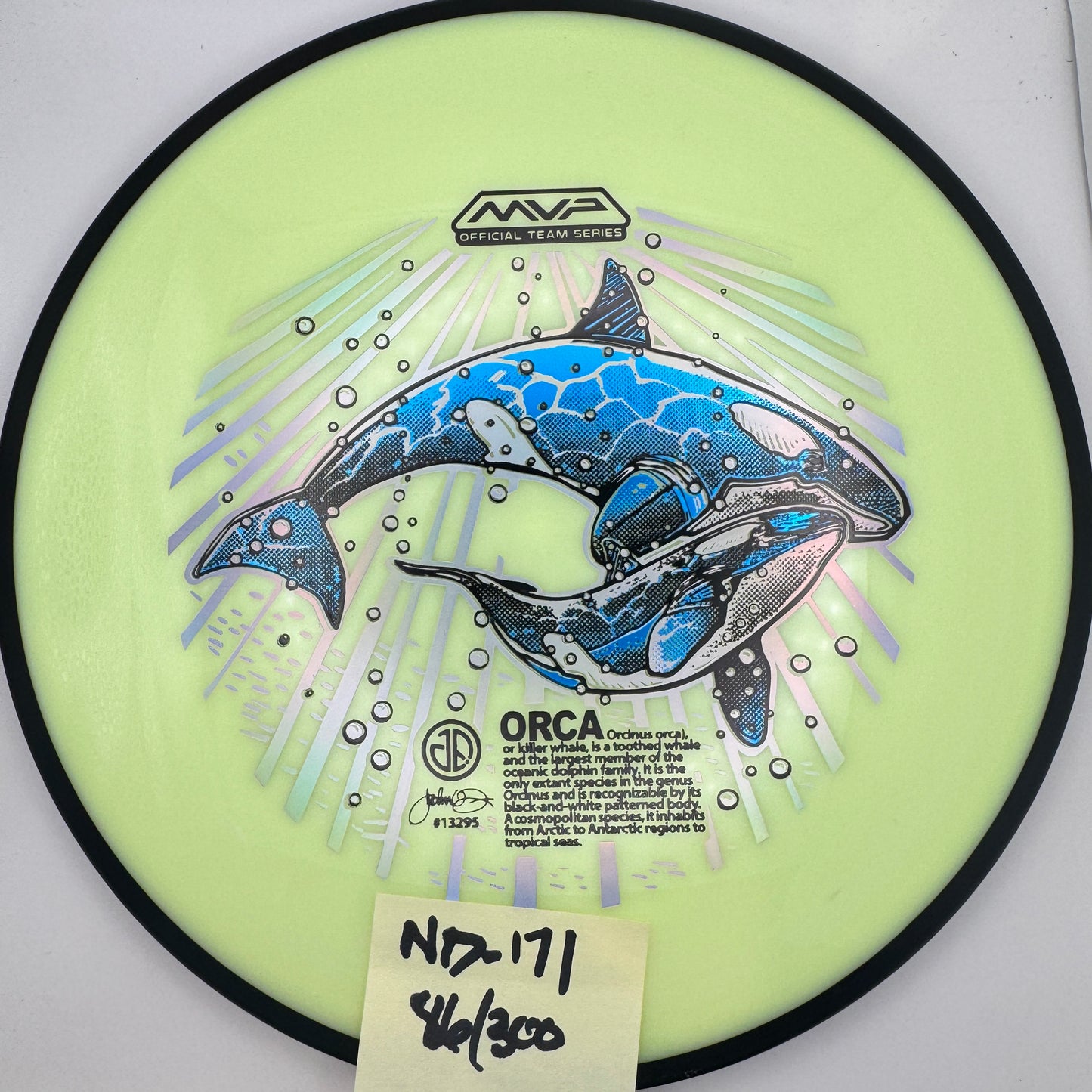 2025 ORCAs MVP Official Team Series Detour