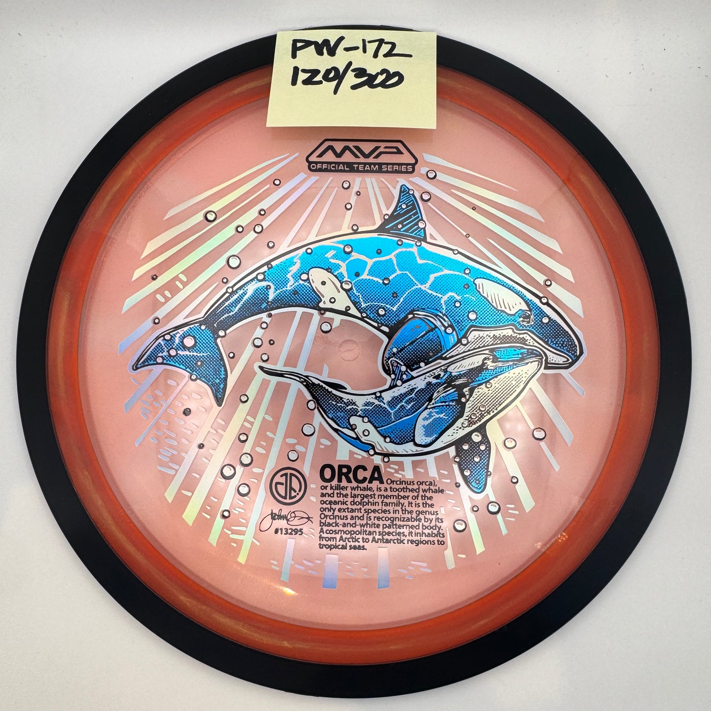 2025 ORCAs MVP Official Team Series - Proton Wave