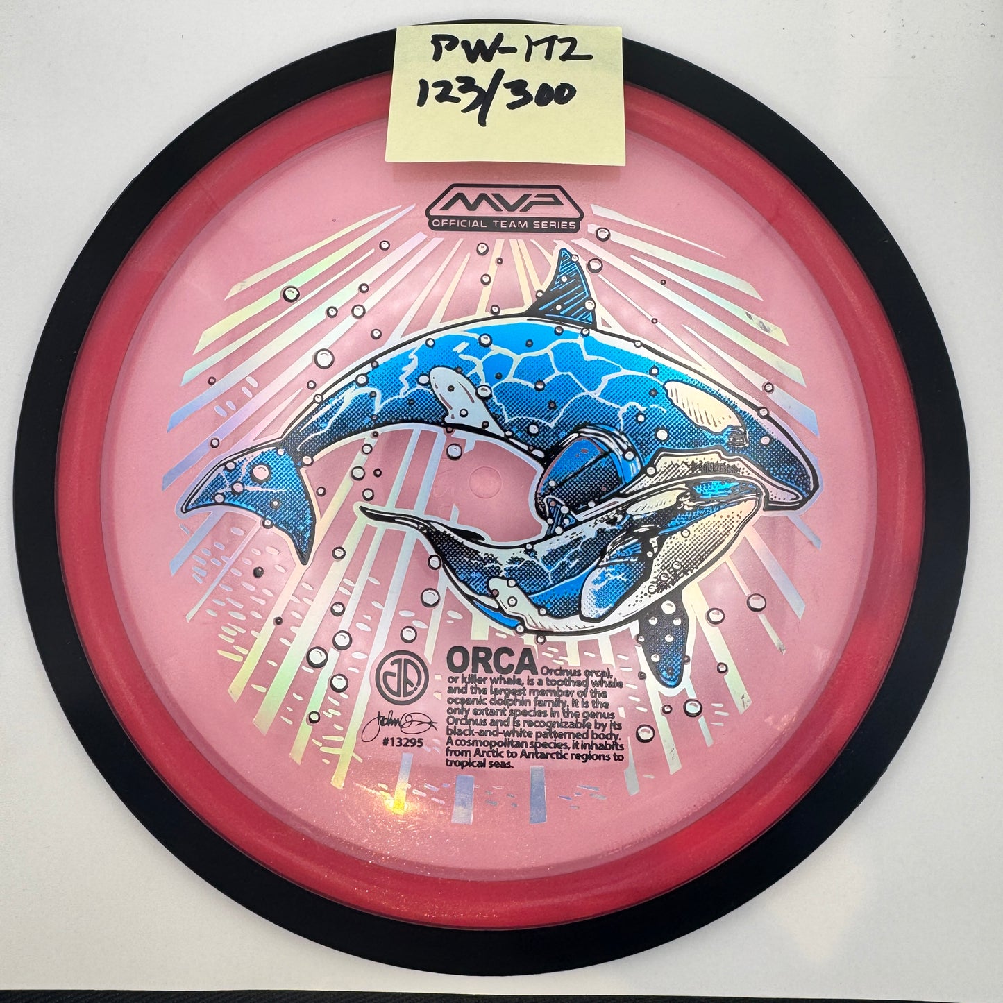 2025 ORCAs MVP Official Team Series - Proton Wave