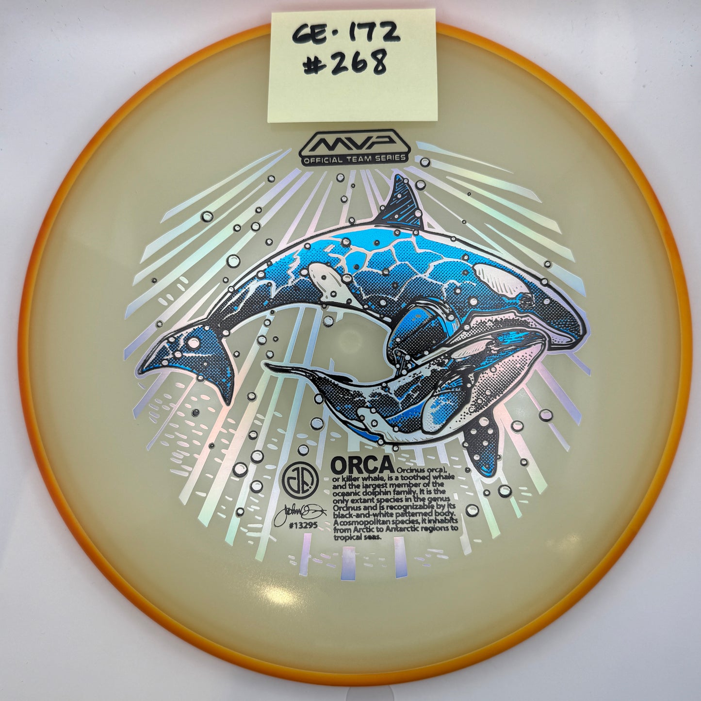 2025 ORCAs MVP Official Team Series - Glow Envy