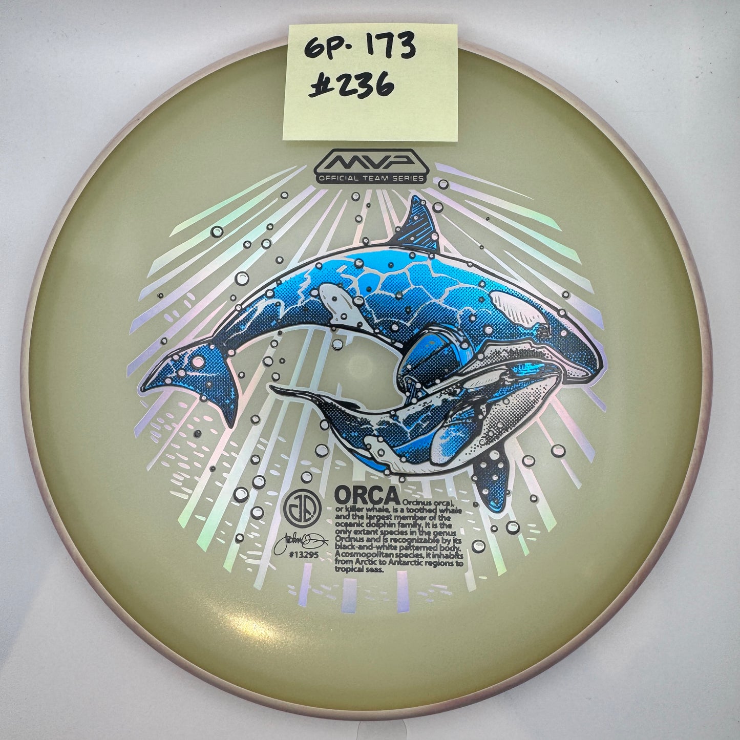 22025 ORCAs MVP Official Team Series - Glow Proxy