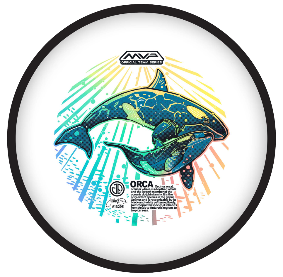 ORCAs – JohnDornArt