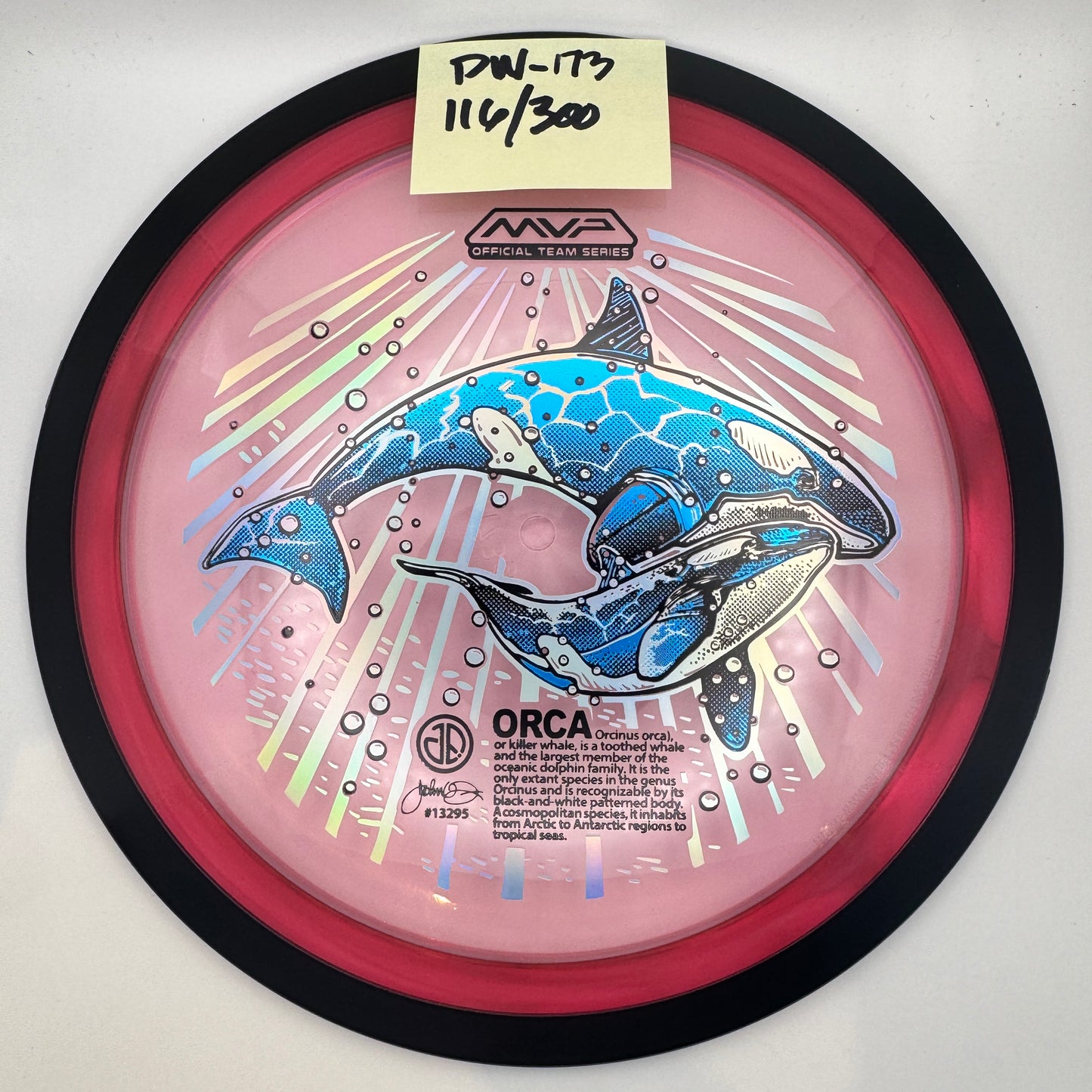 2025 ORCAs MVP Official Team Series - Proton Wave
